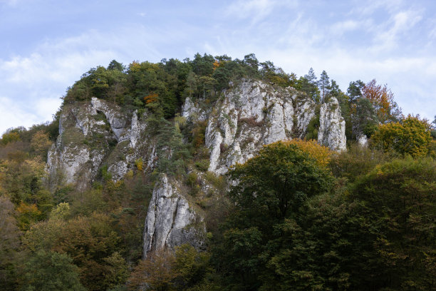 这张照片展示的是波兰国家公园里一片秋天的森林，茂密的树叶和白色的石灰岩，给人一种宁静的自然美景。图片下载