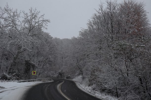 雪路附近的森林，冬天的背景图片下载