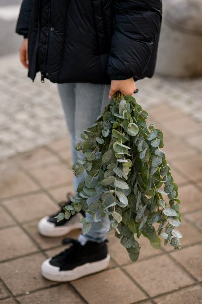 女孩的手拿着一束绿色的桉树树枝在街上图片下载