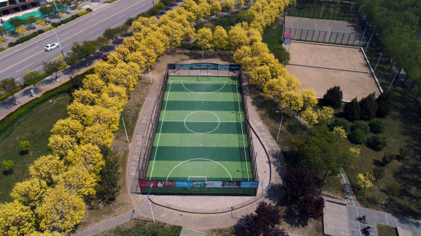 中国北方运动场的航拍照片图片下载