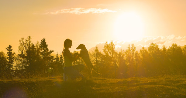 快乐的狗狗摇着尾巴，他的主人在金色的灯光下图片下载