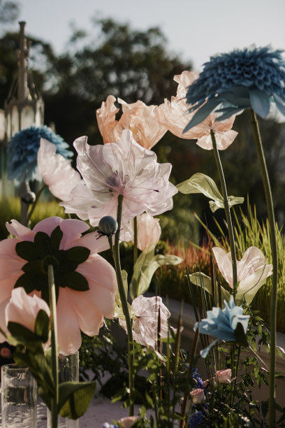 透明宇宙花股票照片图片下载