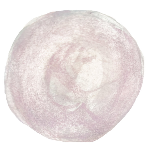 水彩珍珠孤立在白色的背景图片下载