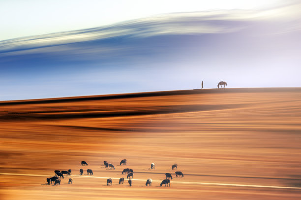 牧羊人和羊群。图片下载