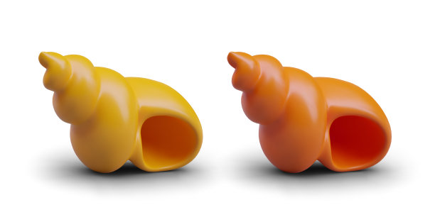 一套螺旋形的空贝壳。黄色和橙色的海蜗牛壳图片下载