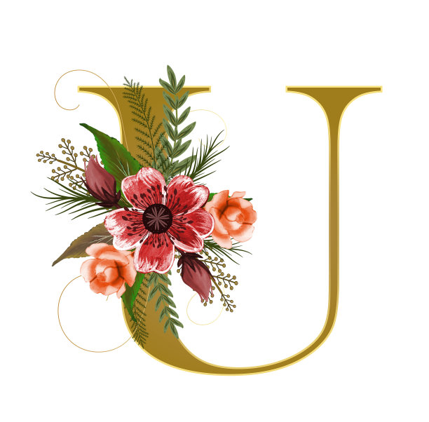 字母U矢量与花和叶子。装饰字母水彩。插画字母U周年纪念图片下载