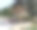 古董黑白照片:巴布亚战争独木舟图片下载