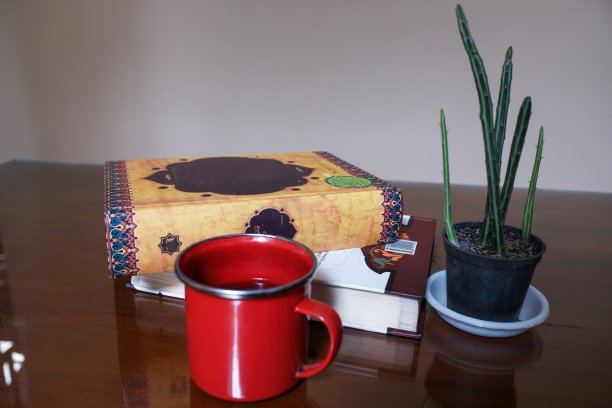 图书馆桌子上的书、咖啡和仙人掌图片下载