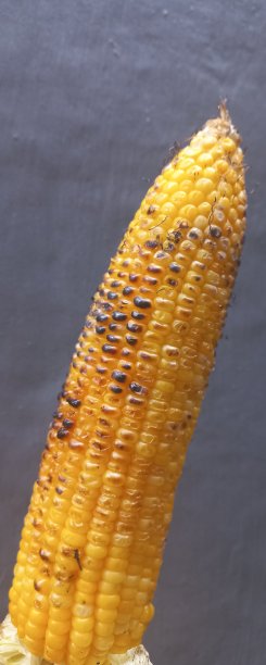 来自印度尼西亚的烤玉米，口味辛辣、甜咸图片下载