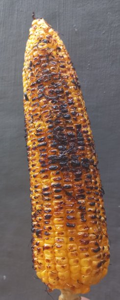 来自印度尼西亚的烤玉米，口味辛辣、甜咸图片下载