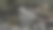 地面上一堆石头的照片，背景模糊图片下载