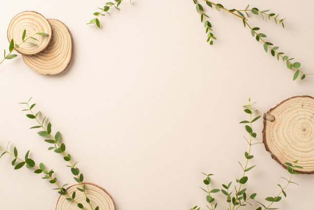 自然的设计理念。上面的桉树树枝和圆形木架的照片，在孤立的柔和的米色背景与复制空间图片下载