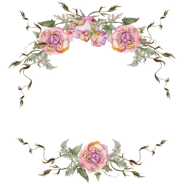 手绘水彩插图破旧的波西米亚植物花叶。灰蒙蒙的粉色茶玫瑰花蕾，常春藤卷须，银色金银花。角框孤立在白色背景。设计婚礼、爱情贺卡图片下载