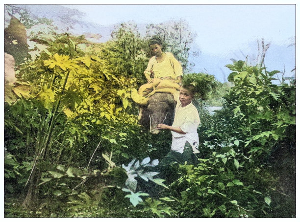 古色古香的黑白照片:菲律宾男孩和卡拉博阿图片下载