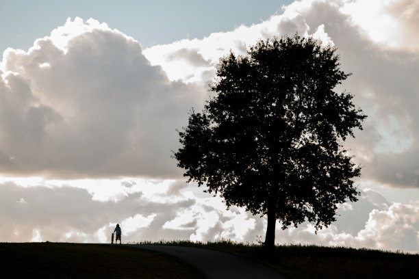 女孩倚在长板上靠近一棵孤零零的树，背景是蓬松的云。图片下载