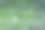 一个黄色网球的细节丢失在森林里，一半隐藏在绿色的草丛中。图片下载