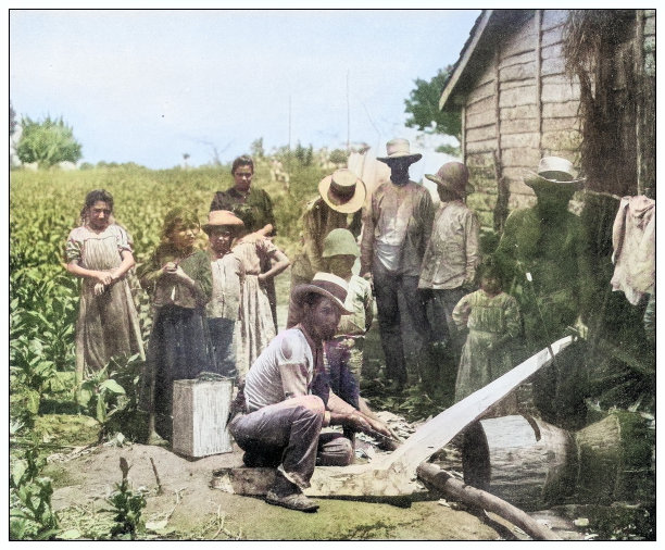 古董黑白照片:制作犁，古巴图片下载