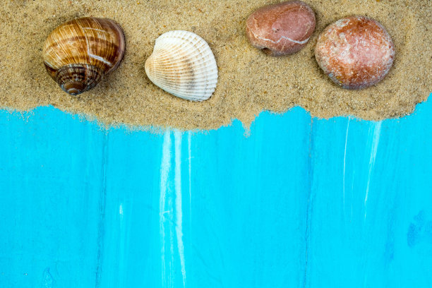 蓝色背景上的沙子、贝壳、石头。休息的概念。前视图。图片下载