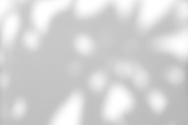 白色的墙壁上覆盖着树叶的影子。阳光在墙上产生阴影。图片下载