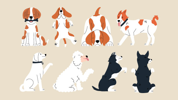 可爱的不同的狗集。不同可爱品种的宠物。矢量插图在平面风格图片下载