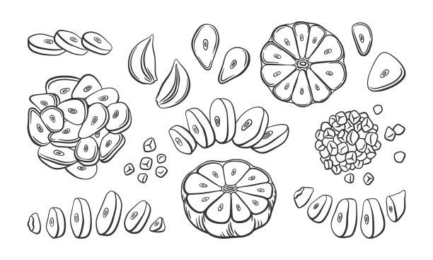 矢量集切割和切碎的大蒜。手绘大蒜片，丁香的轮廓插图。大蒜设计元素的集合。用于烹调、调味品和香料的健康蔬菜原料。图片下载