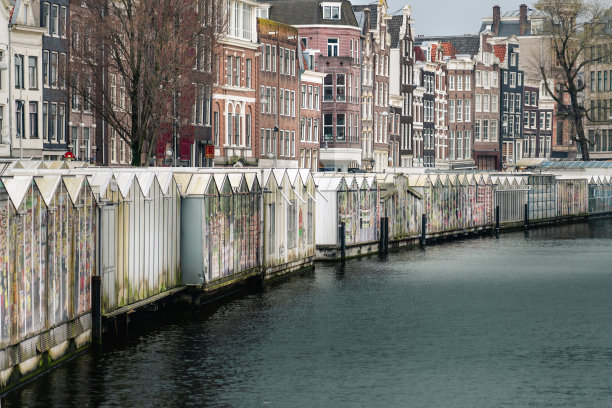 种植郁金香球茎的温室。图片下载