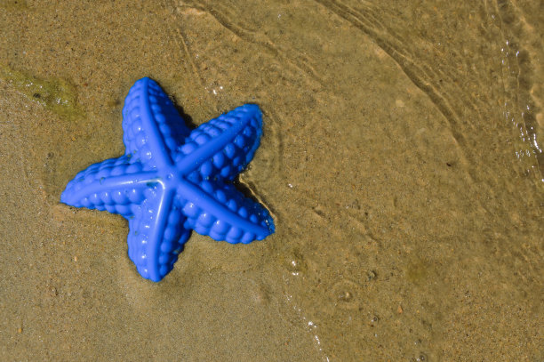 孩子们的玩具，在沙滩上，海边的沙子上玩耍的模具。设计背景。暑假图片下载