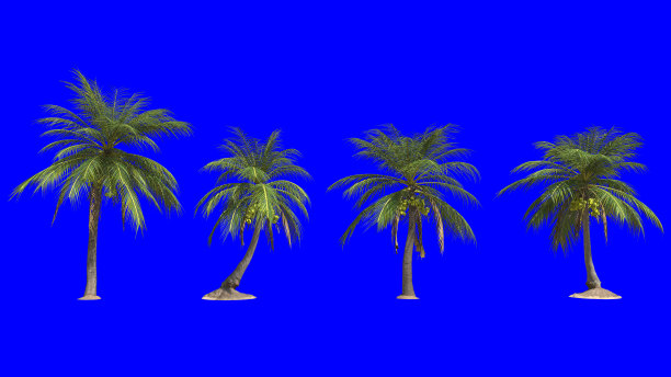 Coconut_Palm_Tree_Pack_On_Blue_Screen图片下载