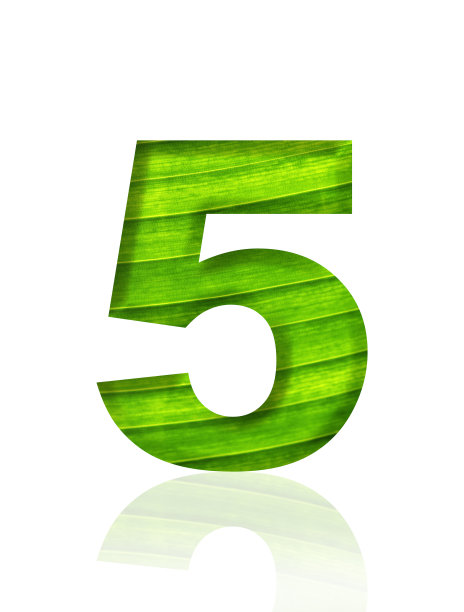 白色背景上5号三维绿叶叶脉的孤立照片图片下载