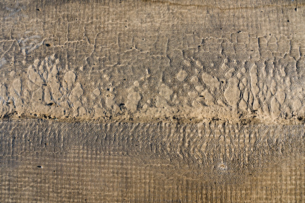 阳光照耀着石头的纹理图片下载