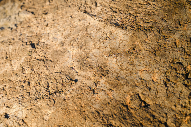 阳光照耀着石头的纹理图片下载