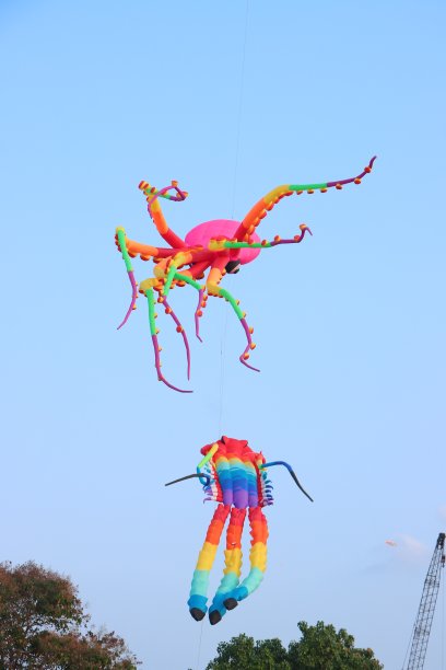 章鱼和彩虹风筝在夏天晴朗的蓝天上飞翔。快乐的童年时光。图片下载