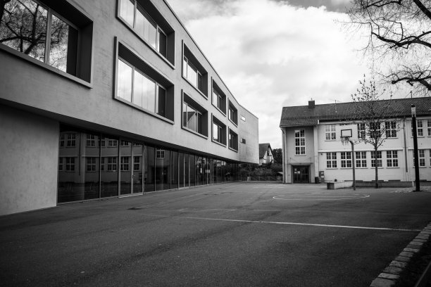 小学中学新旧建筑校园学习全日制学校（黑白照片）图片下载