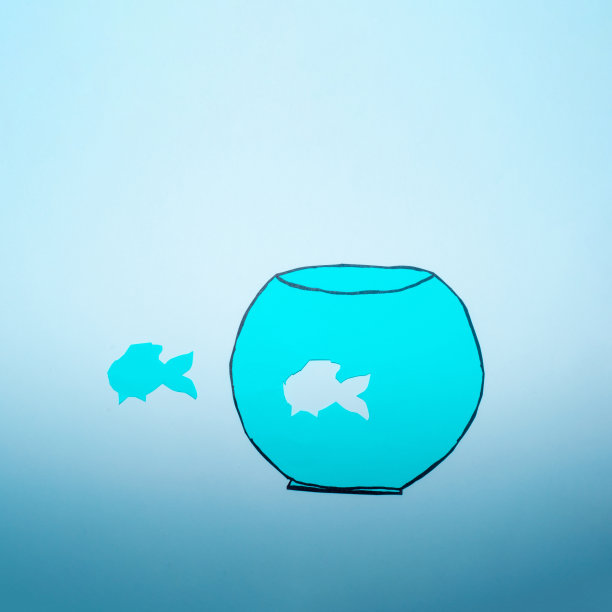 鱼缸和鱼创意平放概念。图片下载