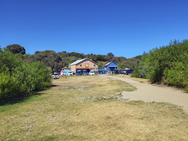 沙湾资讯站图片下载