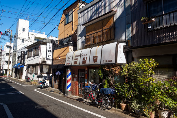 田园诗般的风景与商店和植物装饰在东京大都市蓝天背景。图片下载