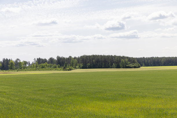 谷物业务在东欧增长图片下载