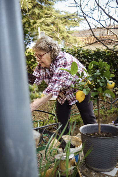 祝这位活跃的老女士植树节快乐图片下载