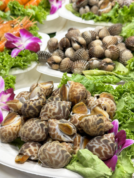 整幅图片是一排排的白色盘子，上面放着新鲜捕获的贝类，上面有兰花花头装饰，配上生菜叶和一次性的甜的东盟虎蛤(海螺)和带肋壳的蛤，重点放在前景上图片下载