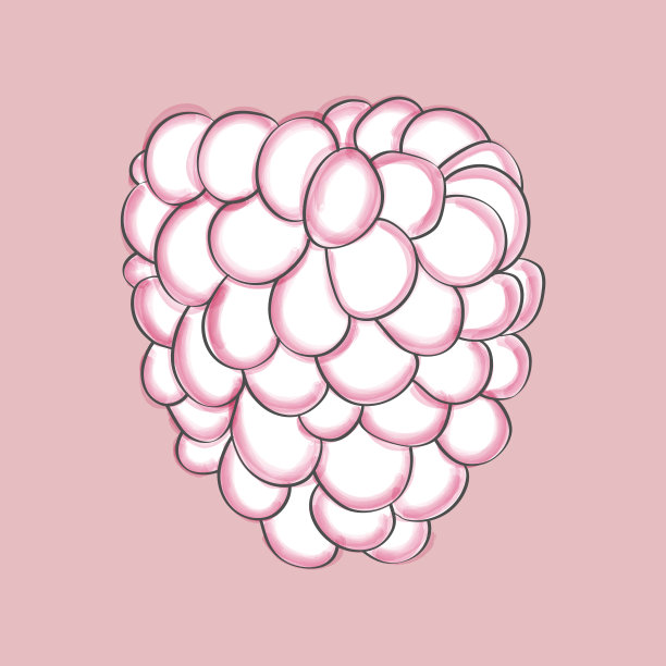 黑色和白色的覆盆子在粉红色的背景图片下载