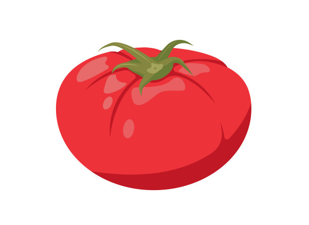 粉红农场新鲜大番茄蔬菜。整个玫瑰番茄植物图标。有机蔬菜素食。图片下载