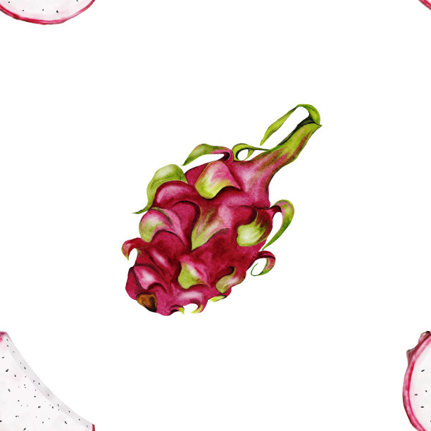 龙果水彩无缝图案。白色背景上的两半异域pitahaya。为了新鲜蔬菜店的包装纸，为了营养学家博客的支持图片下载