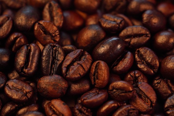 烘培咖啡豆(针叶烘培)，咖啡厅及咖啡店概念图片下载