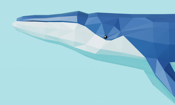 低聚蓝鲸。3D渲染图片下载