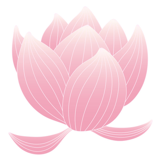 荷花、睡莲花手绘插画。图片下载