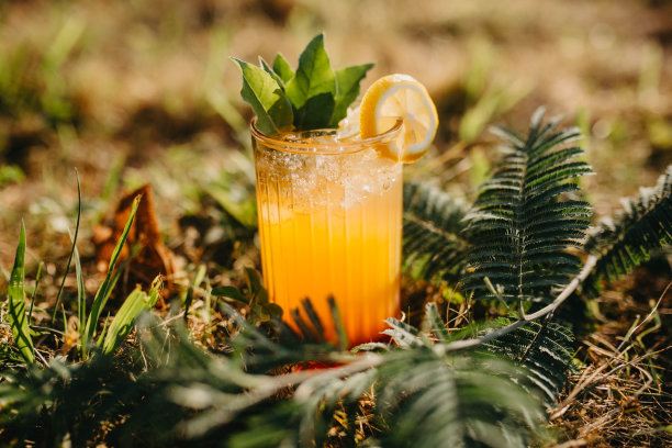 冷饮鸡尾酒的特写照片图片下载