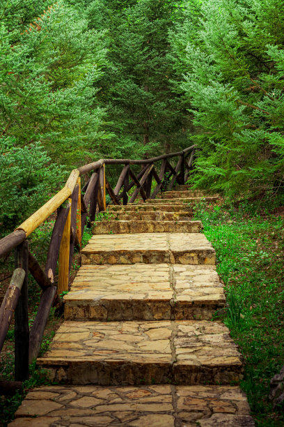 在西班牙安达卢西亚的埃尔博斯克，一条靠近茂密树木的石头小径的垂直照片图片下载