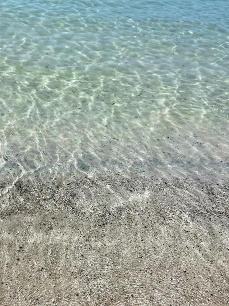 一张沙滩上冲浪板在水里的照片。图片下载