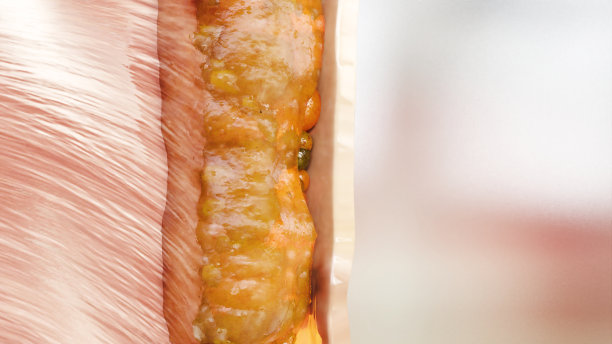 减肥比较。人的身体蜕变。之前和之后的粗腰和细腰，胖肚子之前和苗条贴合完美腹肌之后的快速减肥过程。在皮肤上。脂肪燃烧，3d渲染图片下载