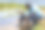 志愿者科学家团队正在捕捉本地繁殖鱼，以获取样本和药物，用于全球变暖和气候变化污染的统计数据，用于自然和野生动物保护图片下载
